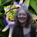 AMELA GARCIA Maria Teresa