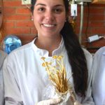 CASO Josefina Mercedes